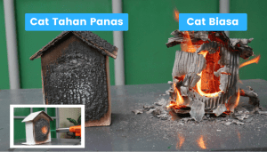 Cat Anti Api